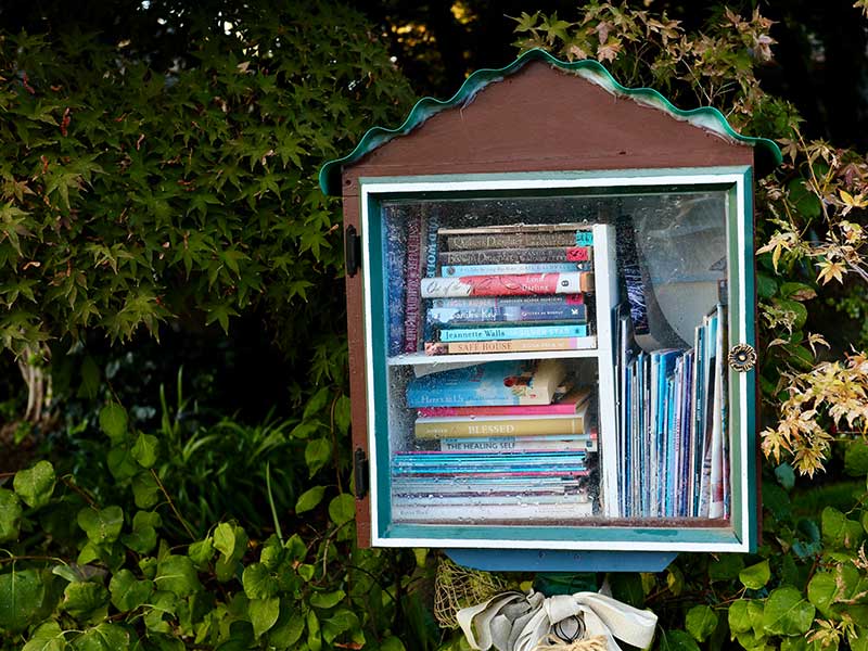Lending Library - well stocked amongst a tree setting