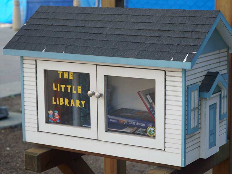 The Little Library - white library with blue trim